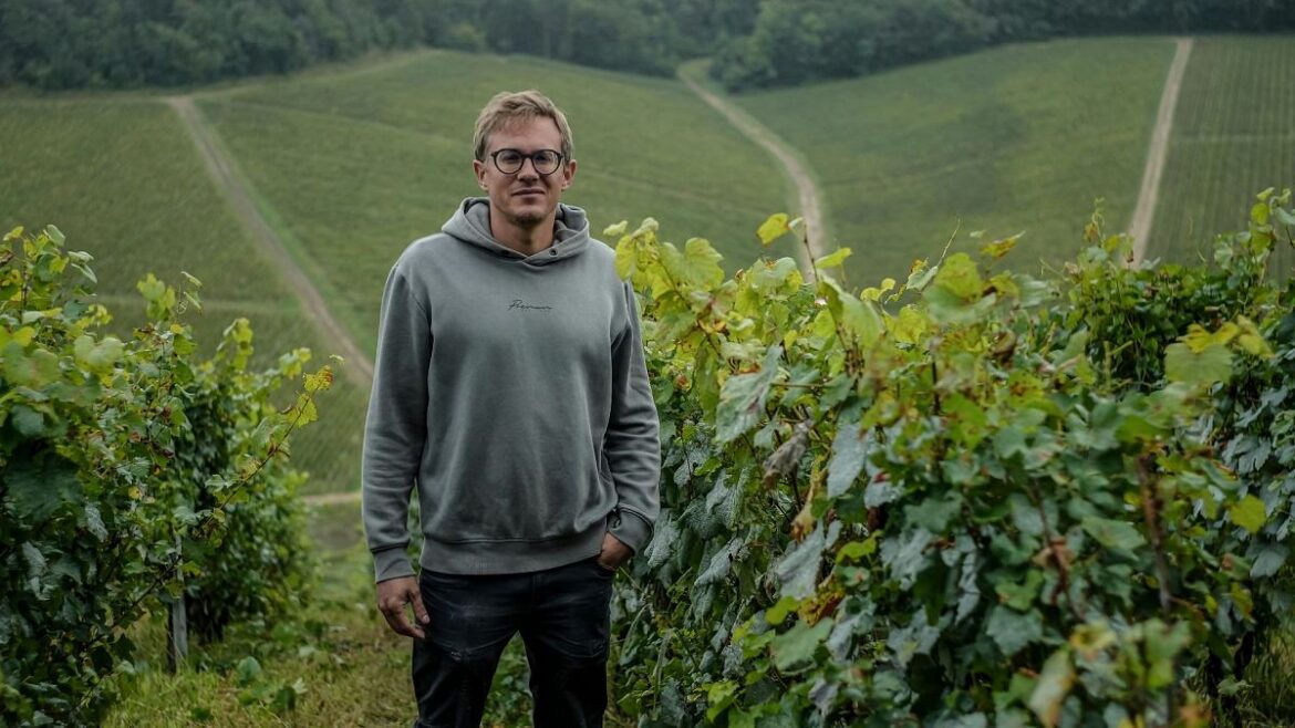 ‘I'm exhausted’: French winemakers face losses of 60% with Chablis worst affected by bad weather