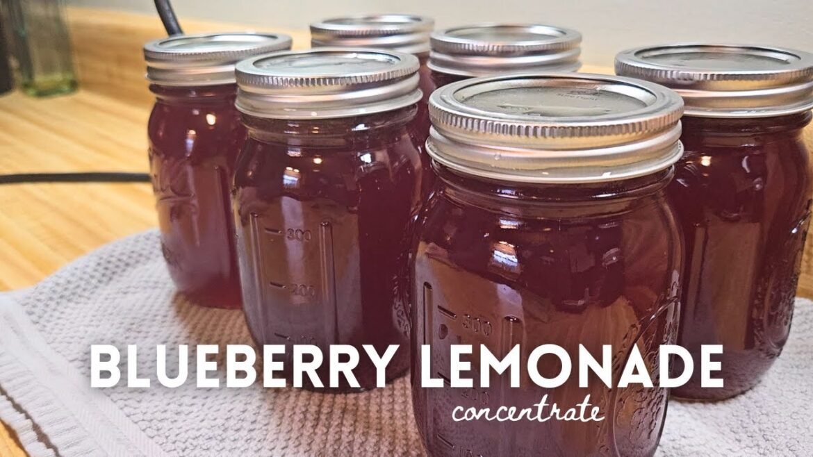 Homemade Blueberry Lemonade Concentrate | Canning Recipe