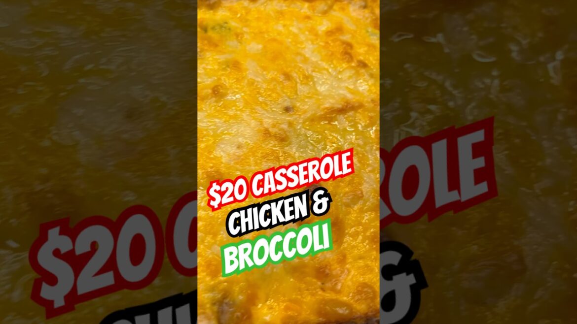 Feed Your Family for $20: Easy Cheesy Chicken & Broccoli Casserole!