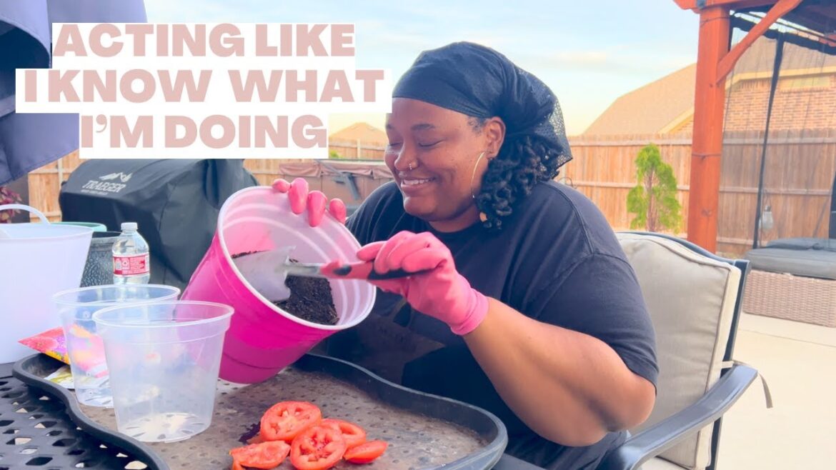 Starting a Vegetable Garden | Gardening for Beginners Starting a Vegetable Garden | Gardening for Beginners