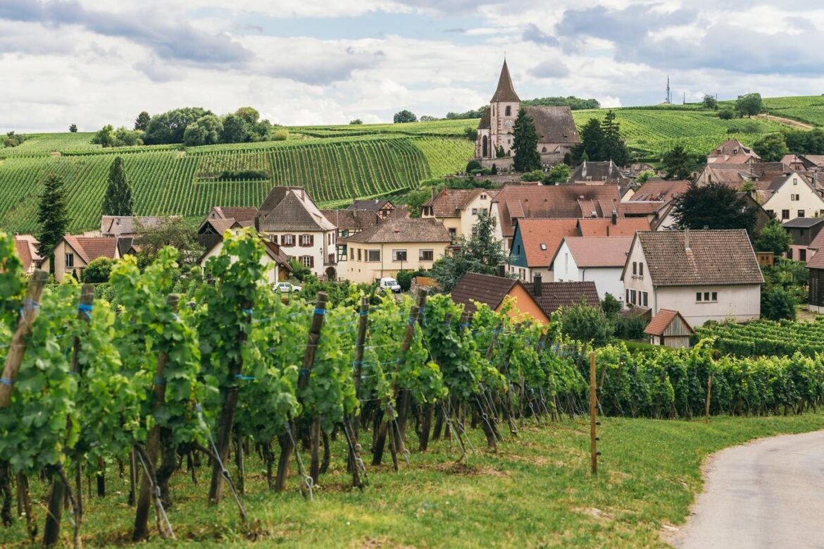 Why You Should Explore The World Of Alsatian Wine Why You Should Explore The World Of Alsatian Wine