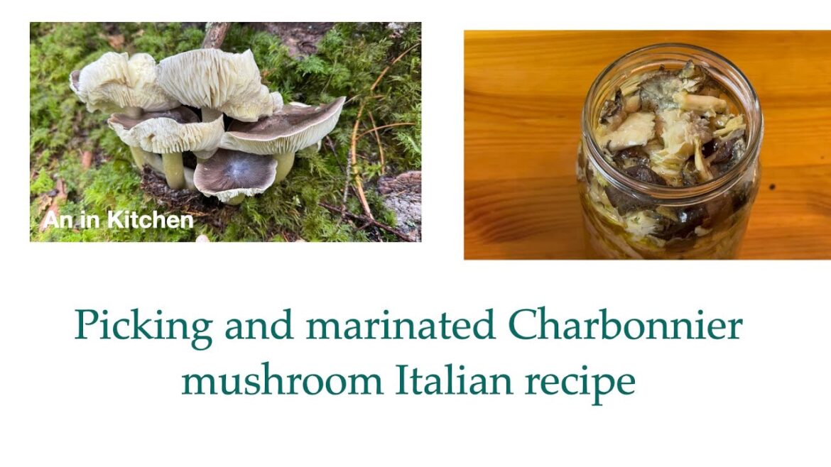 Marinated Charbonnier mushroom in Italian recipe