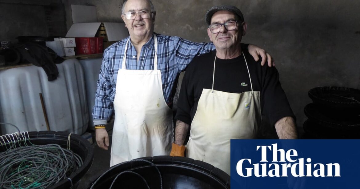 ‘It’s eating what the sea provides’: Galicia’s Atlantic diet eclipses Mediterranean cousin | Spain