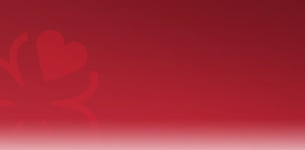 Québec’s top eateries dazzle in first-ever MICHELIN Guide Selection MICHELIN Guide cover