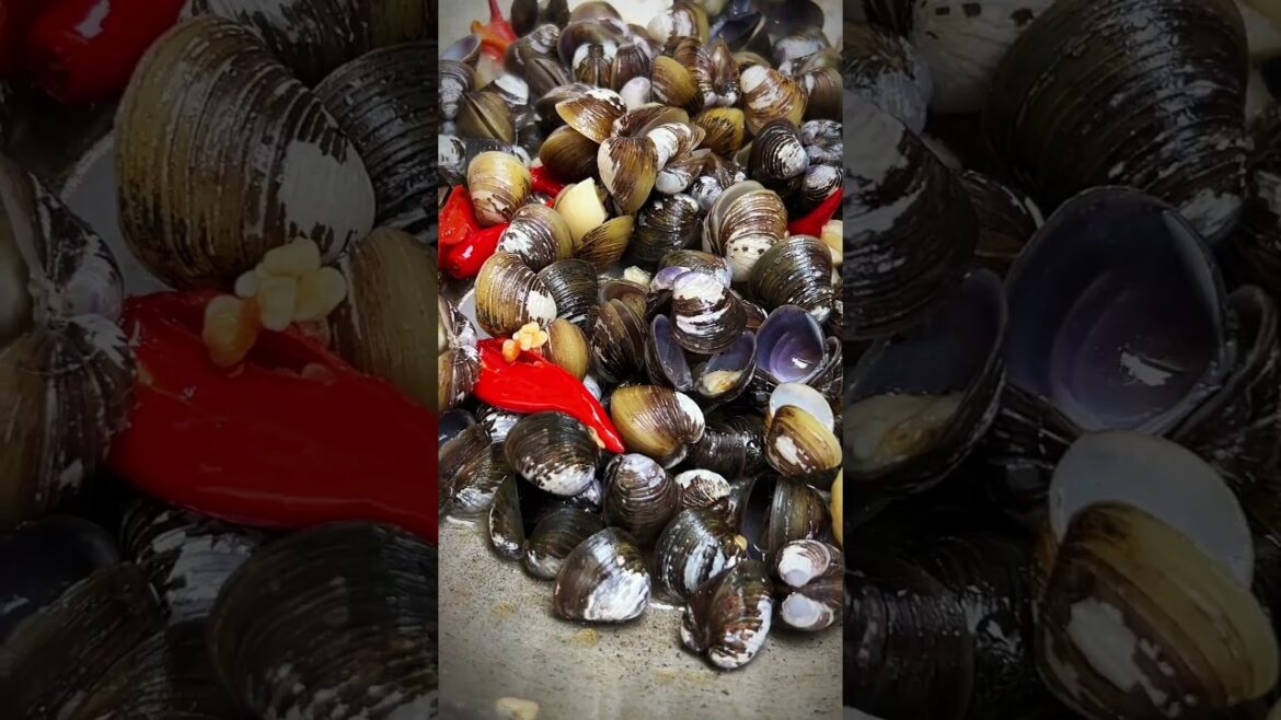 Easy Cooking River Clams #shorts #food #foodatasty #cooking #asmr #eating