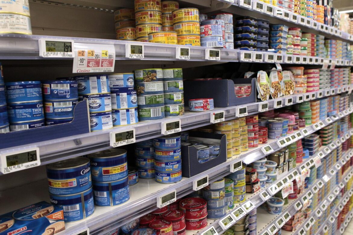 French NGO warns of canned tuna 'health scandal' over mercury levels
