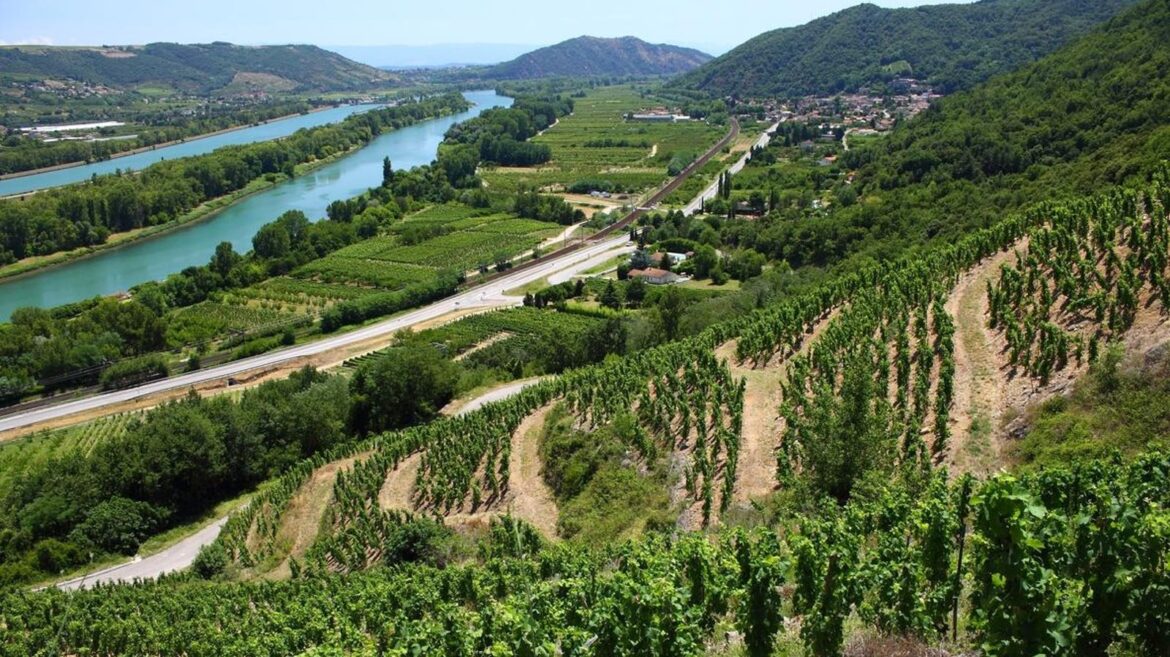 Autumn Harvest Lunch Wines To Consider From Four French Regions