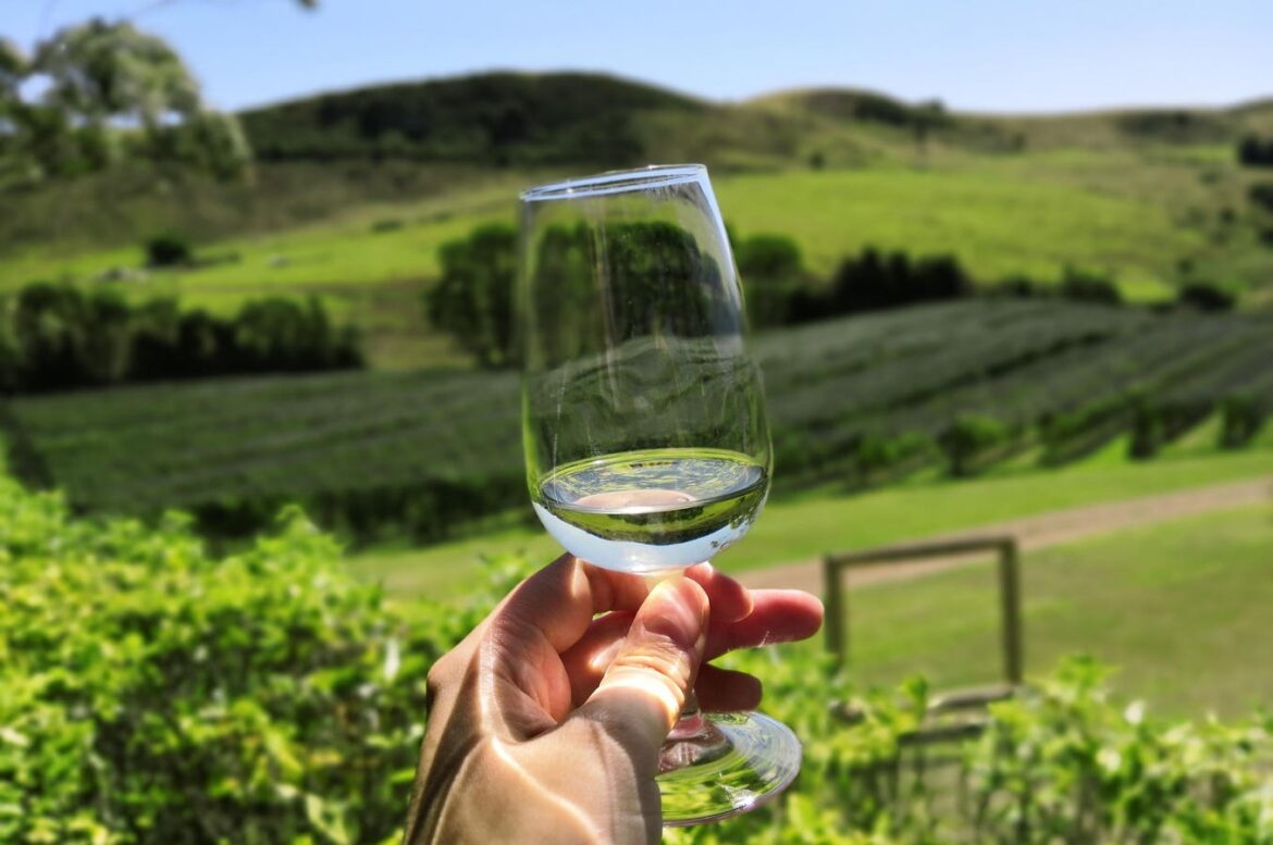 The Best New Zealand Sauvignon Blanc Wines According To The Top Wine Competitions The Best New Zealand Sauvignon Blanc Wines According To The Top Wine Competitions