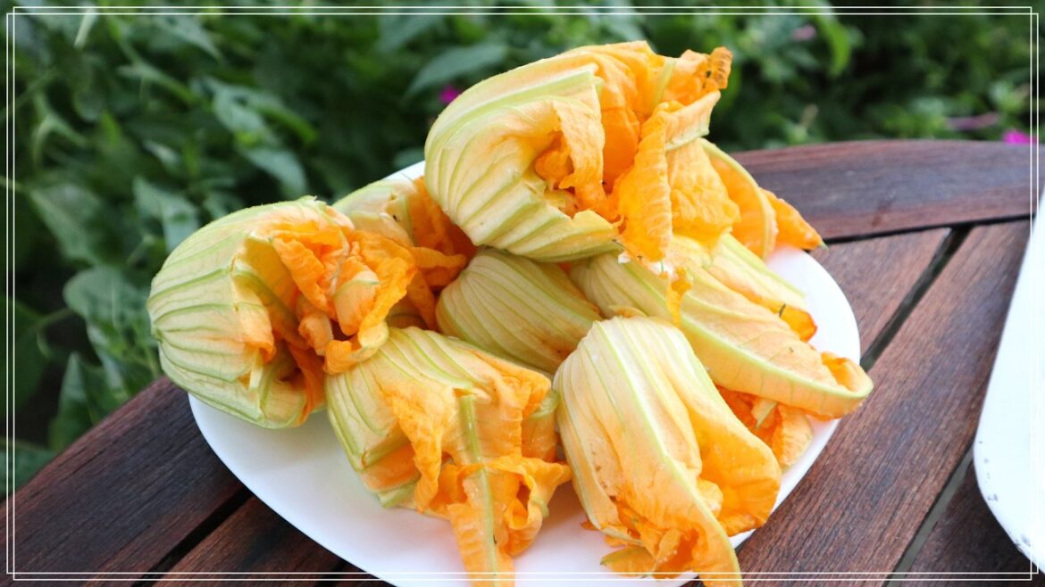 Τηγανιτοί κολοκυθανθοί με φέτα που λιώνουν στο στόμα -ο τέλειος μεζές για τη μπύρα! Zucchini flowers