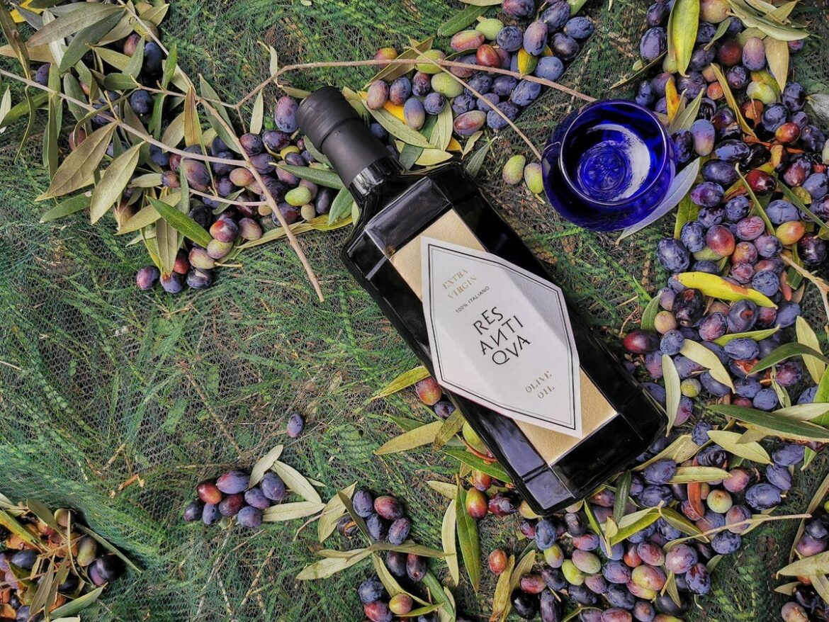 Celebrating The World’s Best Extra Virgin Olive Oils