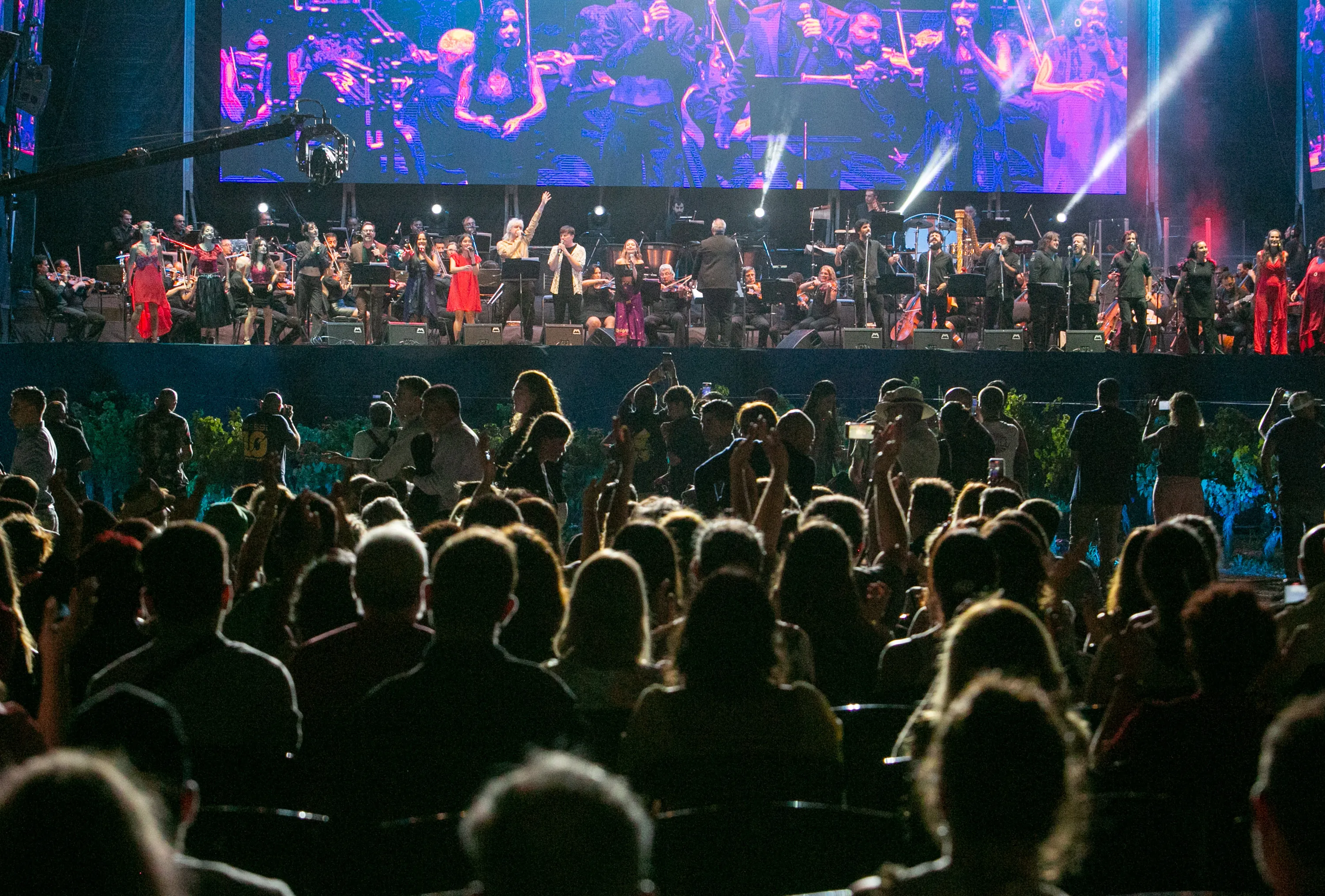 fiesta-de-la-cosecha