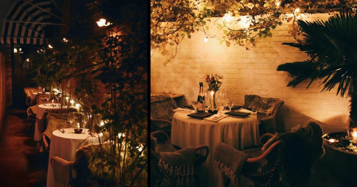 New Winter Garden at Patron French bistro in Kentish Town New Winter Garden at Patron French bistro in Kentish Town