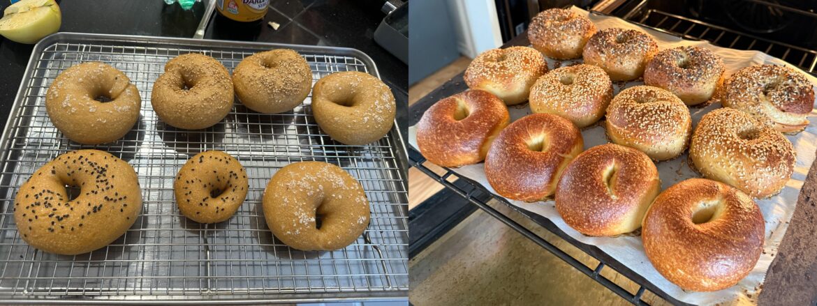 My first batch of bagels vs. my latest batch