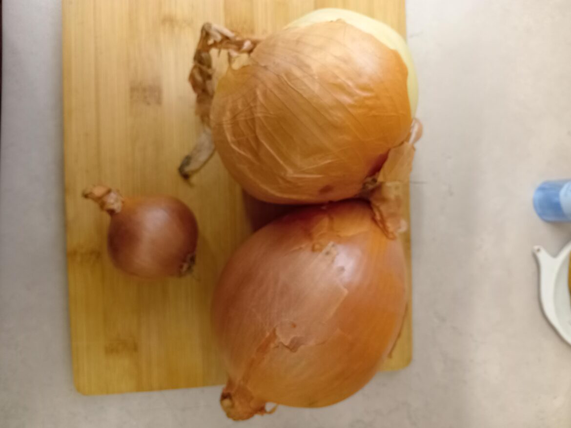 One onion is medium it just looks smaller because of the sheer size of these monster onions my partner found!