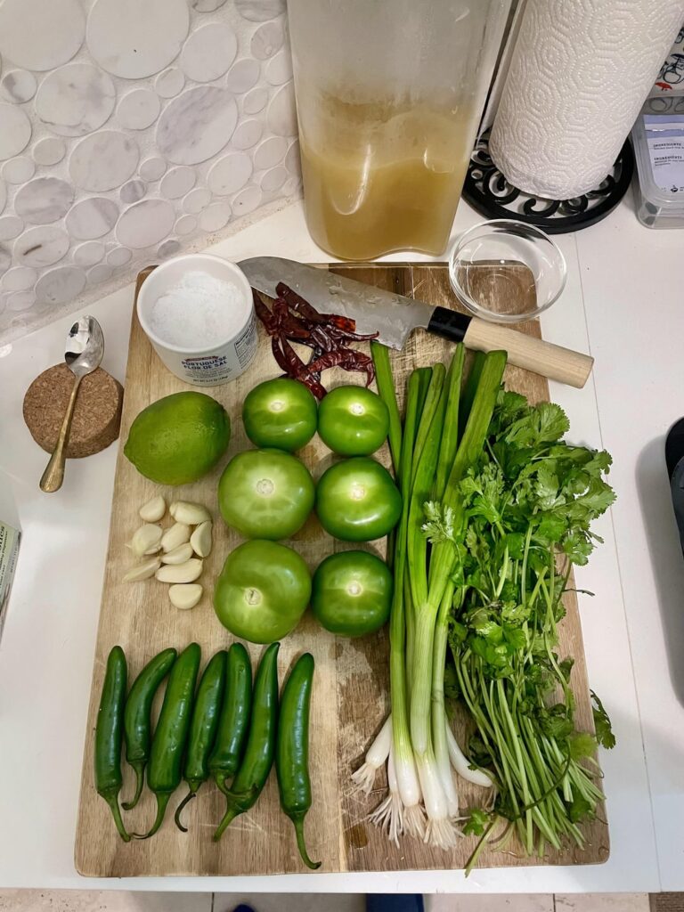 Chicken Stock Salsa #2