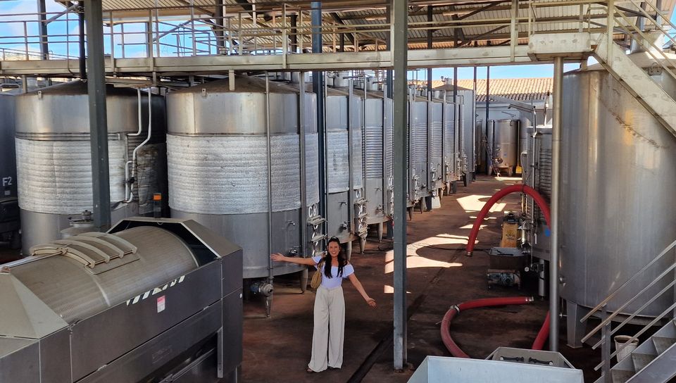 Anna in the winery