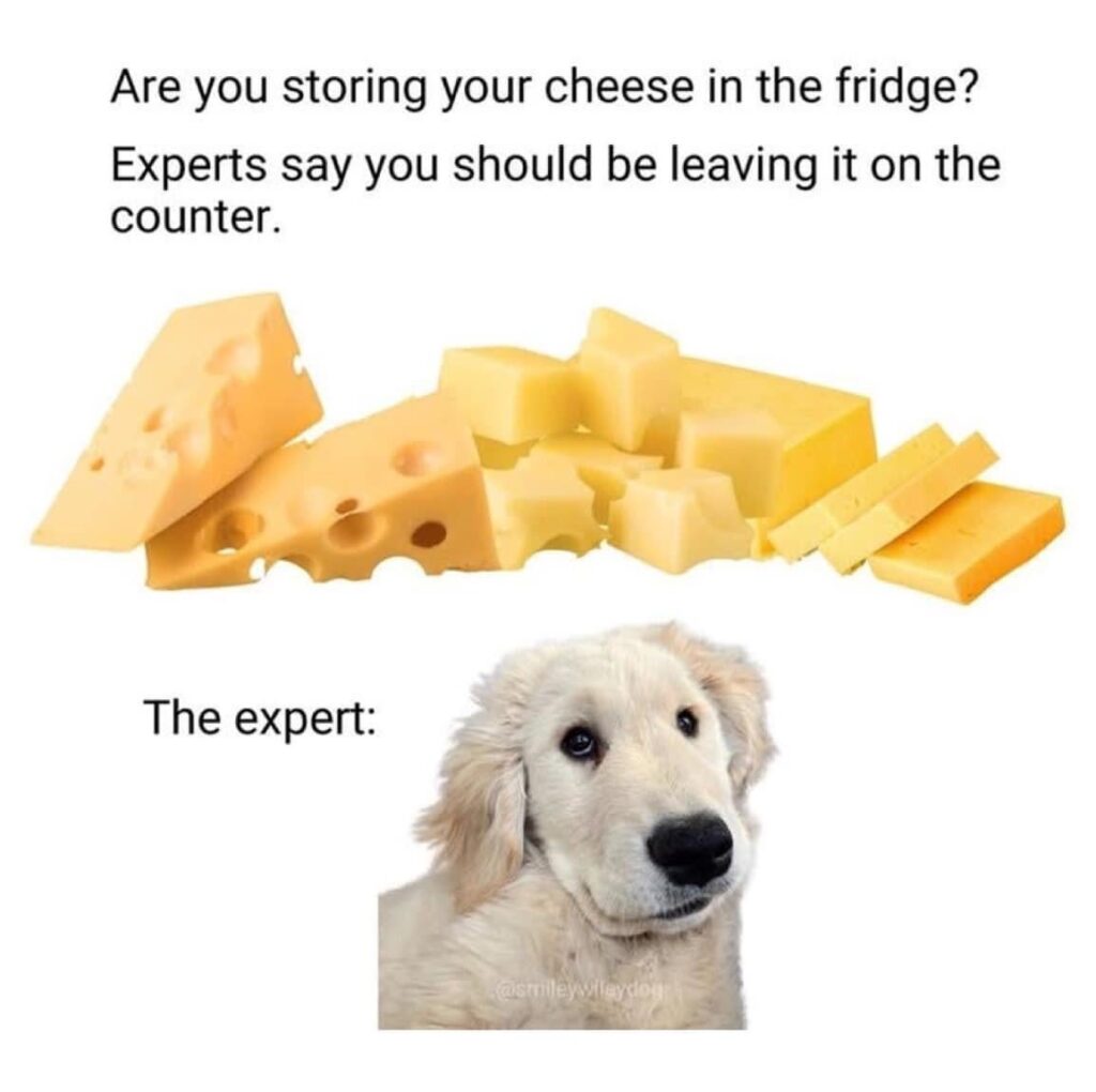Where do you store your cheese?