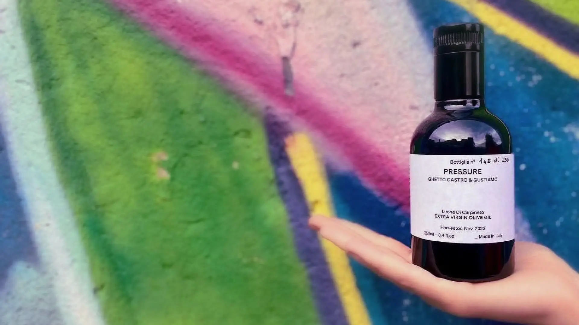 business-europe-north-america-how-two-ancient-olive-trees-in-molise-help-fund-meals-in-new-york-olive-oil-times