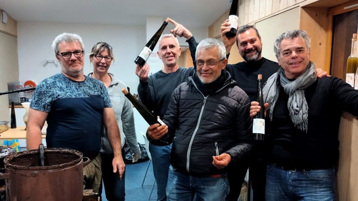 Olive Oil Production Comes to French Capital Olive Oil Times