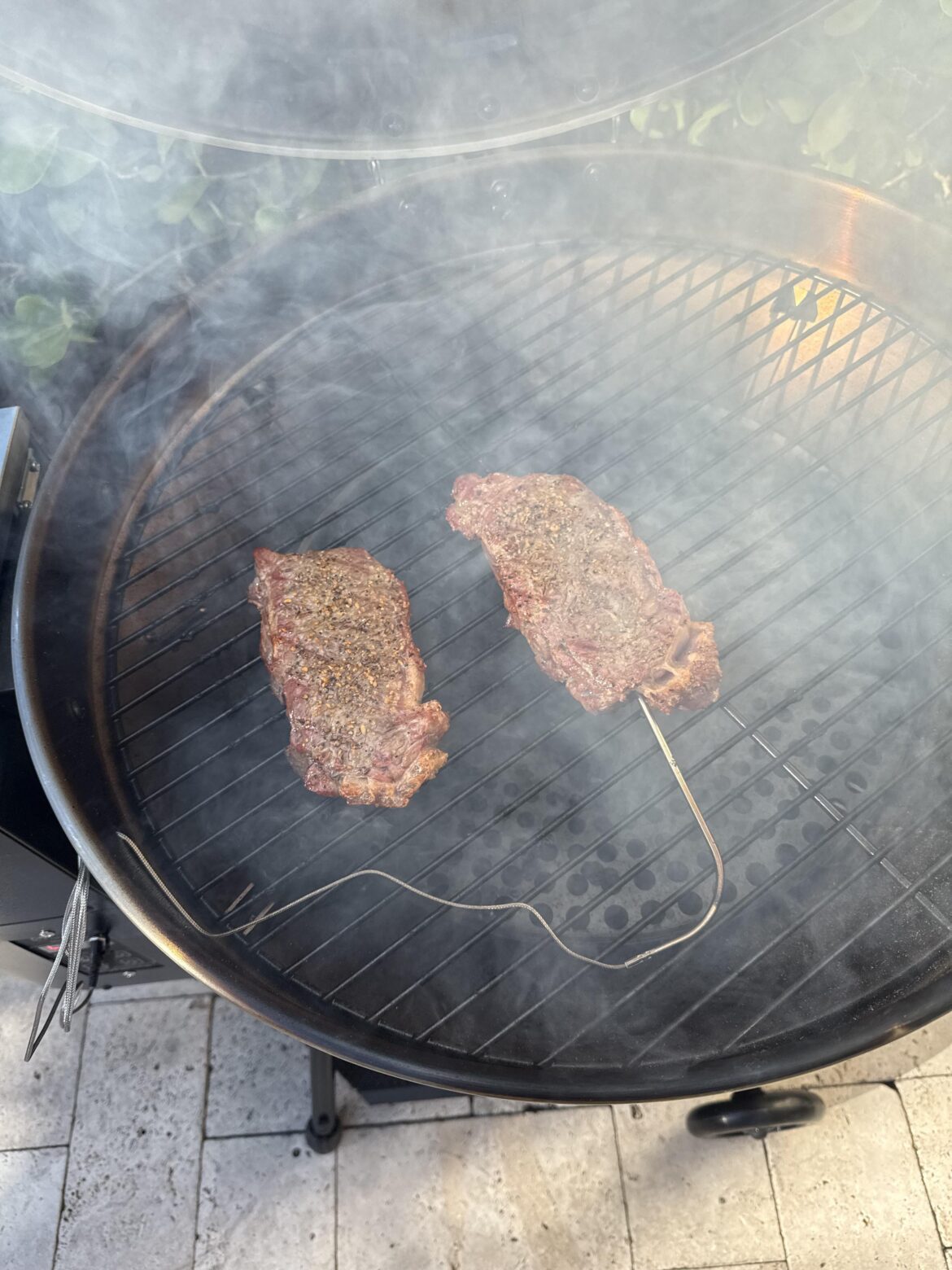 Reqtec Bullseye Steaks