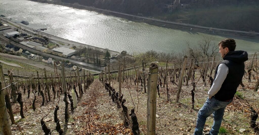 German Chardonnays Find Their Footing German Chardonnays Find Their Footing