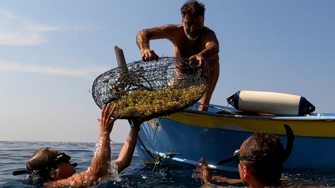Meet the Italians making wine the ancient Greek way