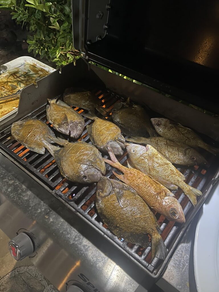 Grilled Reef Fish in the British Virgin Islands