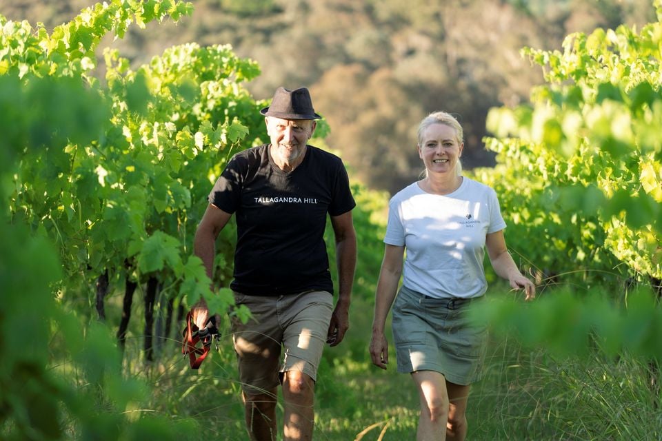 Mary and David among the vines
