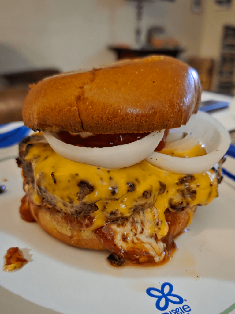 Made this simple cheeseburger tonight for dinner