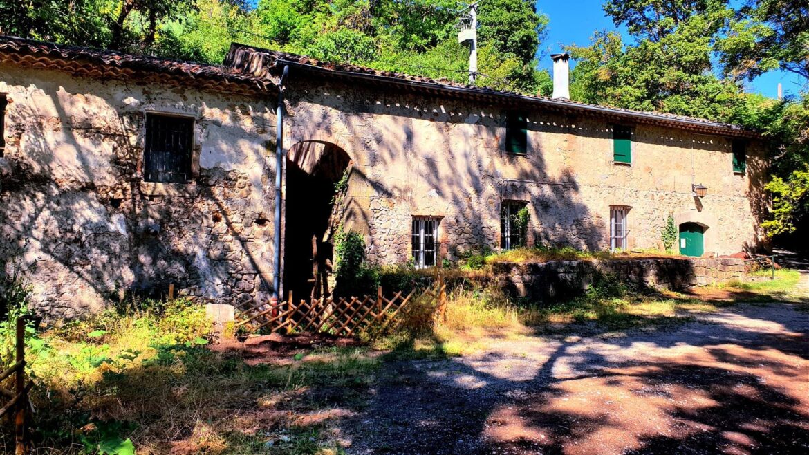 Community Mills on The Rise in France Olive Oil Times