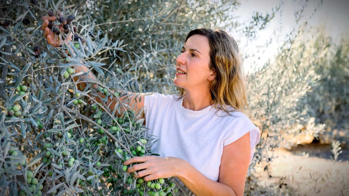 How Resilience and Passion Drive a Boutique California Producer Olive Oil Times