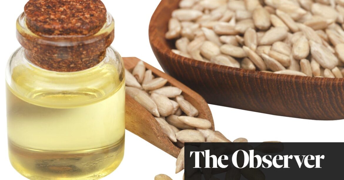 RFK Jr says they are poisoning us, influencers call them unnatural – but what is the truth about seed oils? | Nutrition RFK Jr says they are poisoning us, influencers call them unnatural – but what is the truth about seed oils? | Nutrition