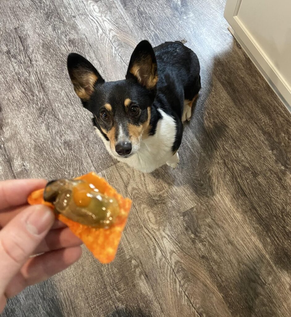 To the dude eating smoked oysters and Doritos the other day, thanks for the rec.