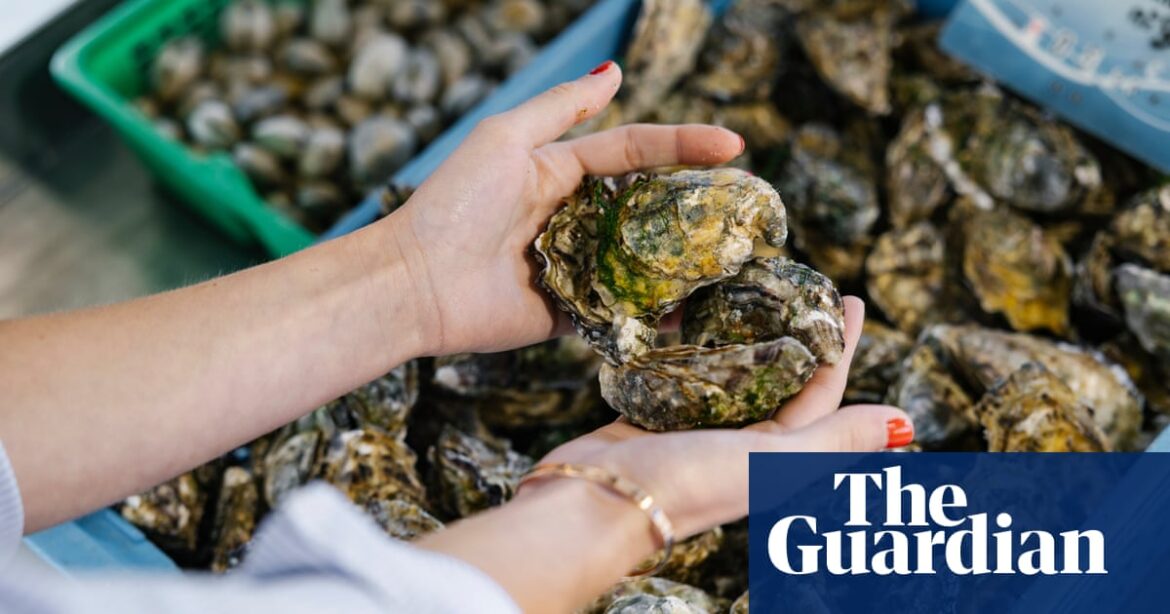 My top restaurants and food discoveries from 20 years of writing about France | France holidays