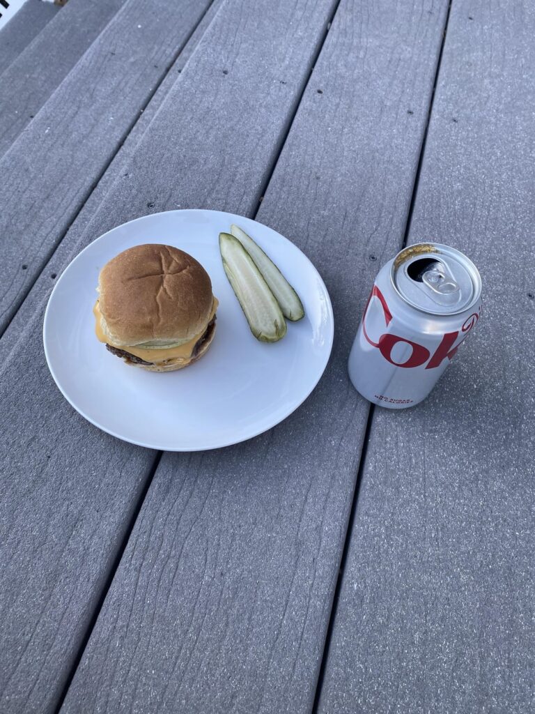 It’s a beautiful day today so I had a burger on my porch 375 kcal, 31g protein