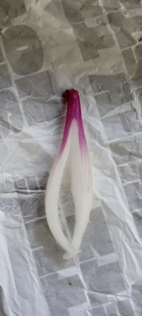 As if I didn't love to eat them enough already