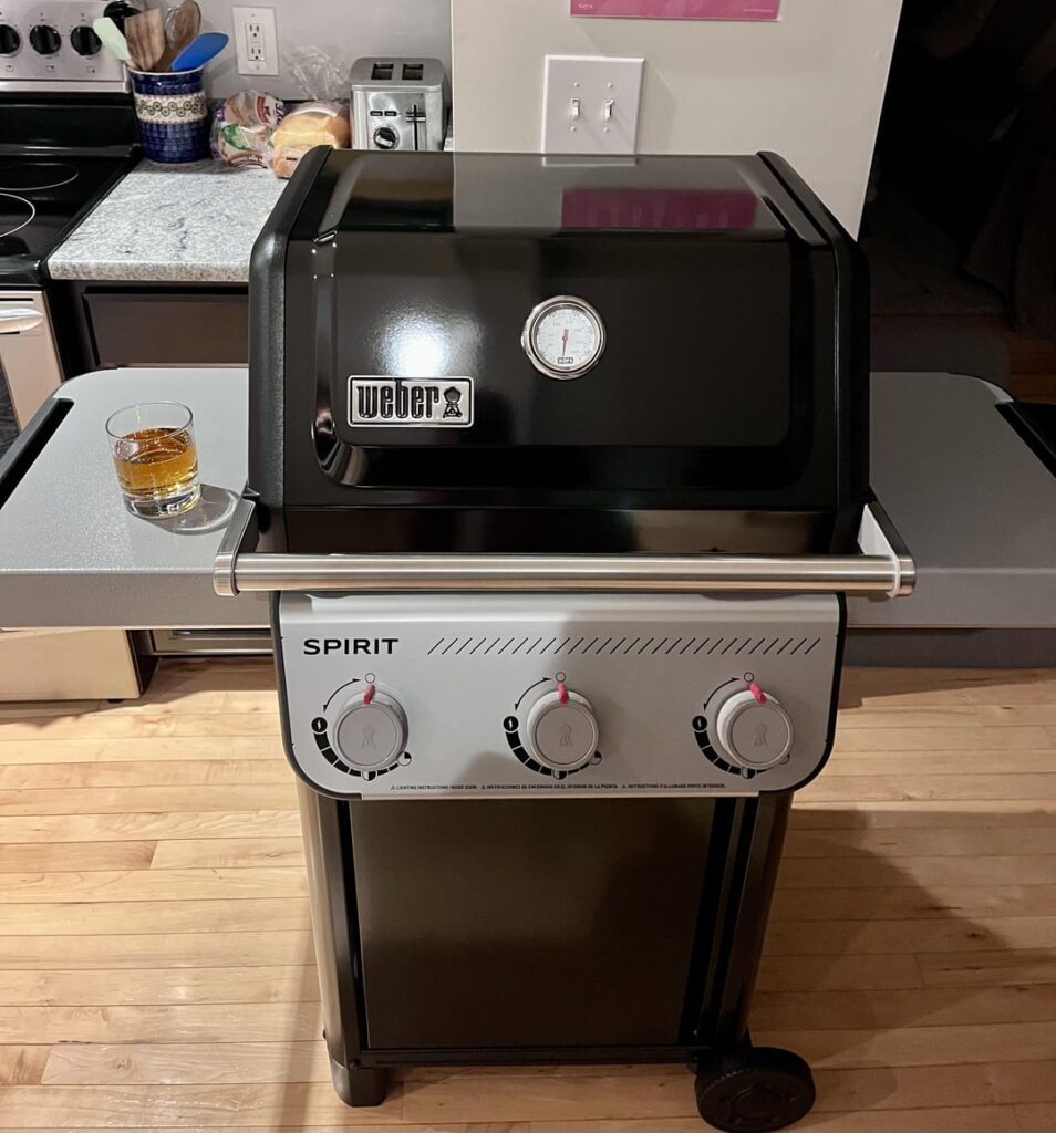 2025 Spirit 310 - Review