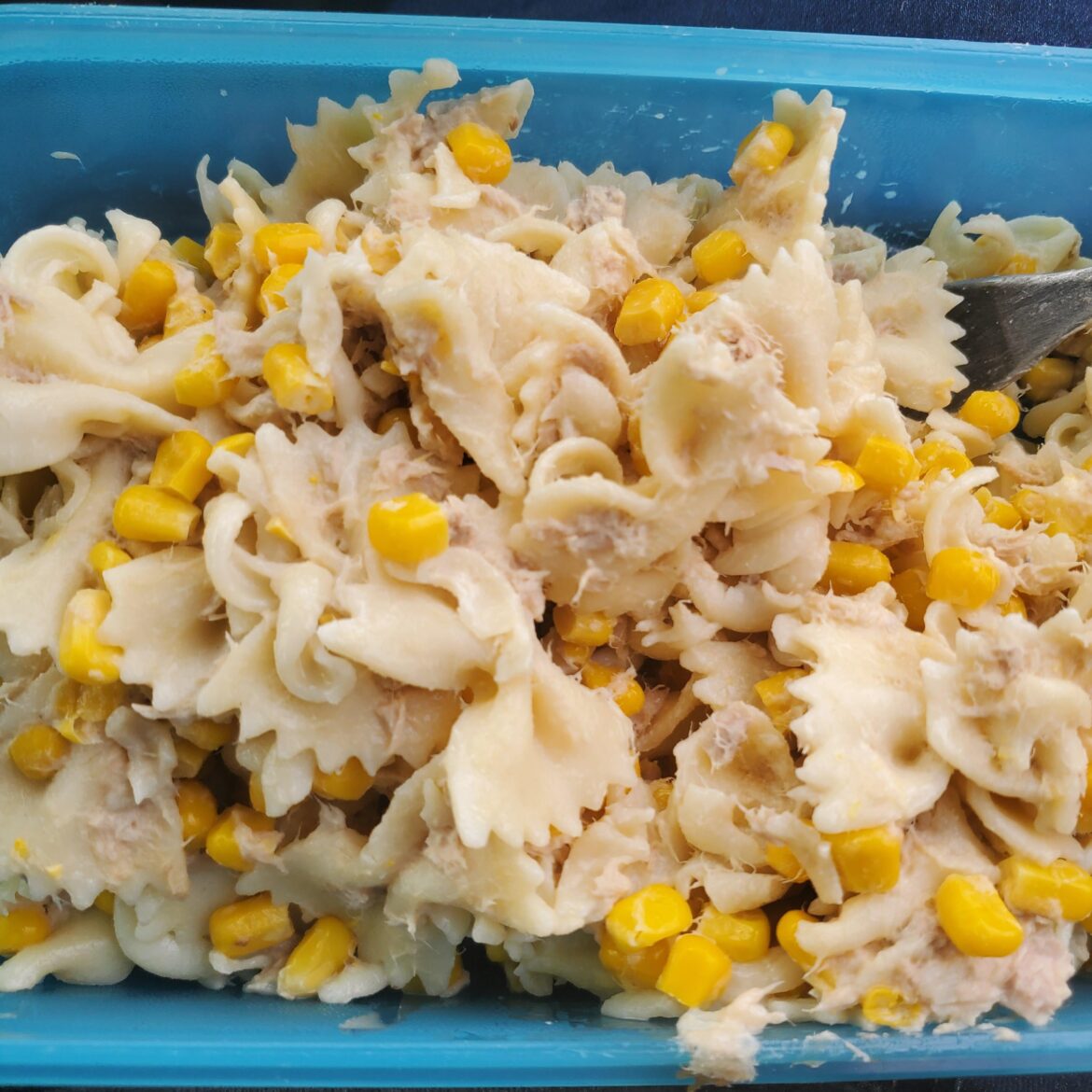 My boss said my lunch looks like cat vomit it's not that bad right?