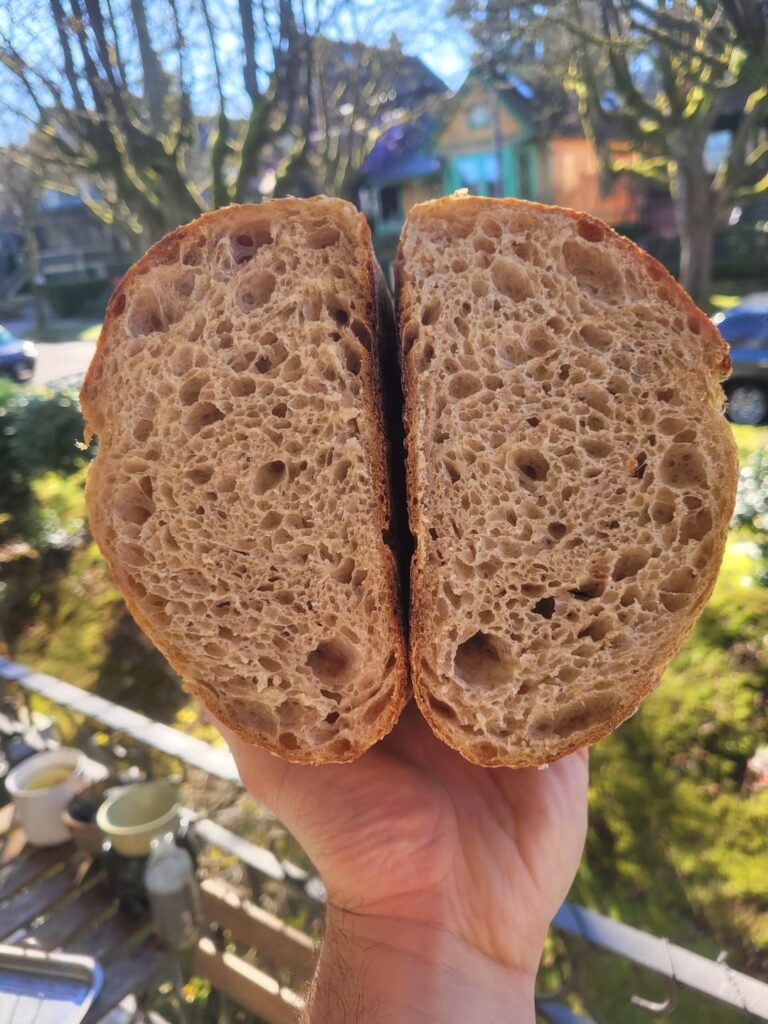 Two recent loaves and how I learned to stop fearing overproofing