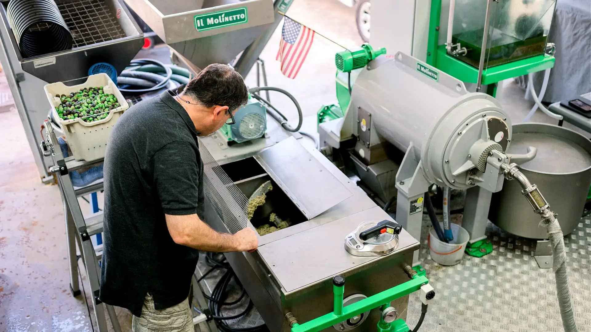 profiles-the-best-olive-oils-production-north-america-how-resilience-and-passion-drive-a-boutique-california-producer-olive-oil-times