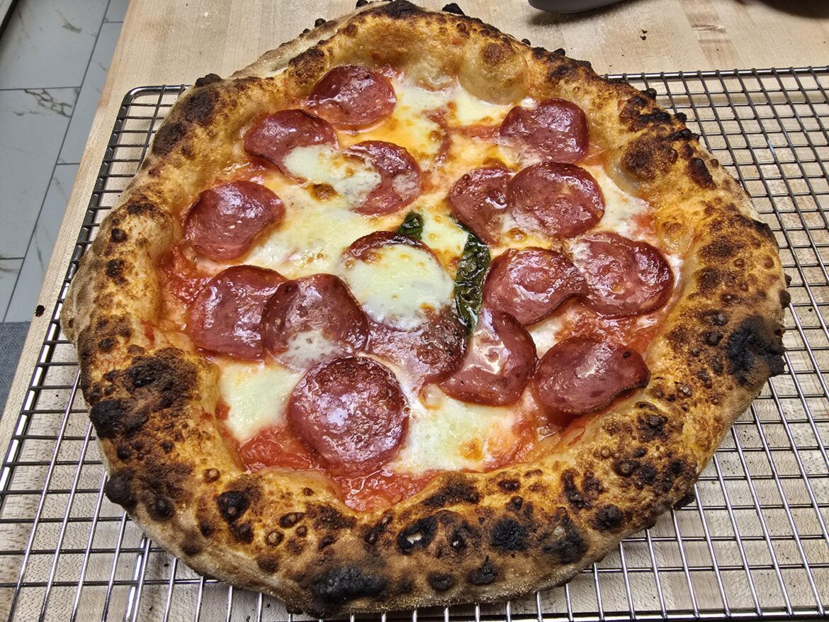 Wood fired pizza(oc)