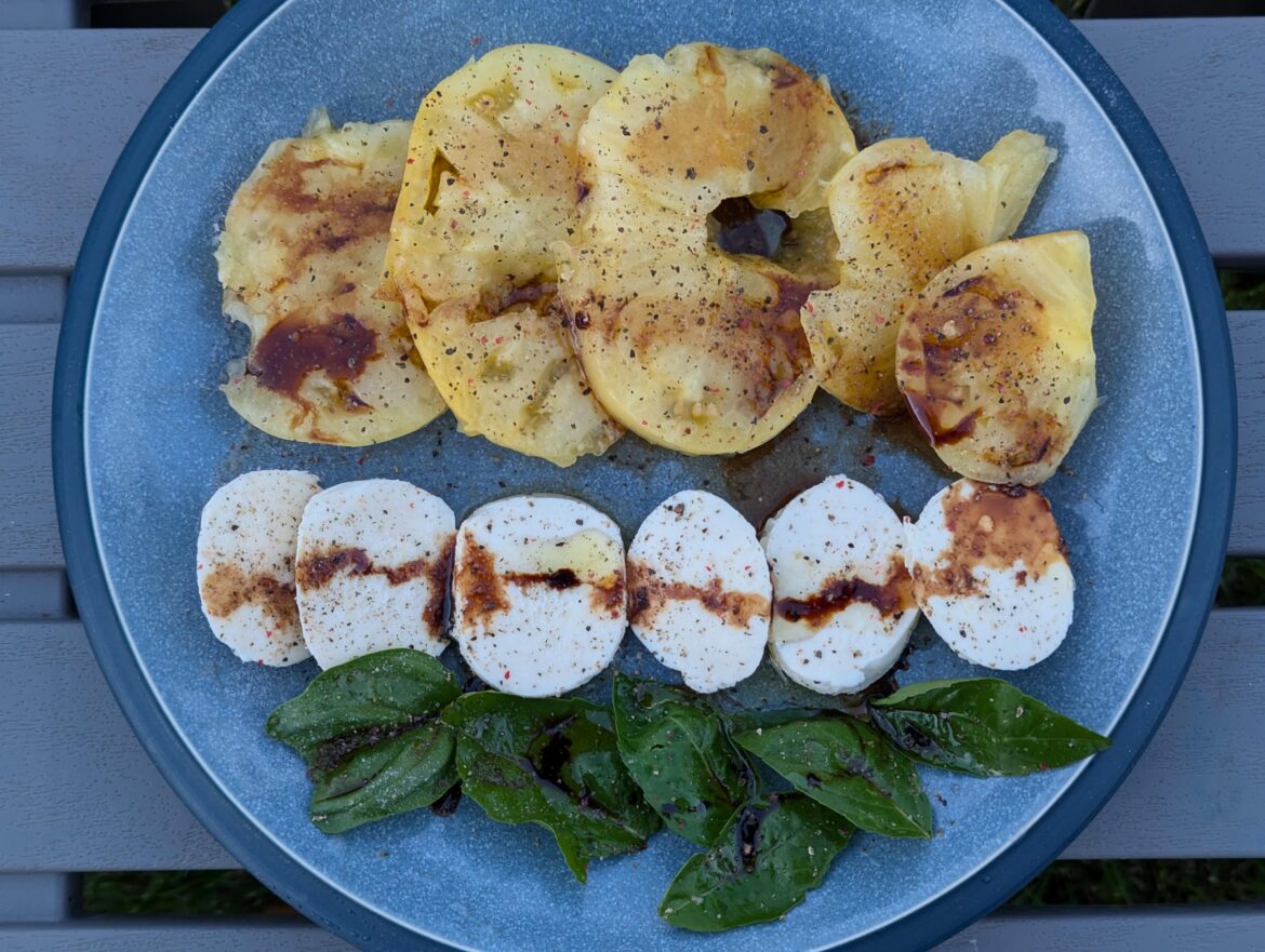Home garden Great White tomato & sweet basil Caprese salad
