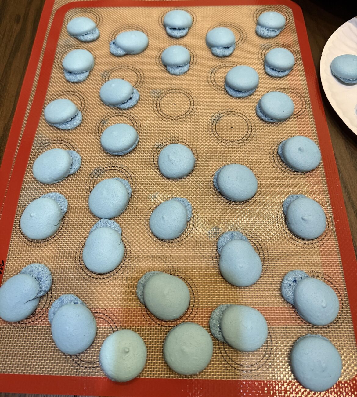 Why did this happen??