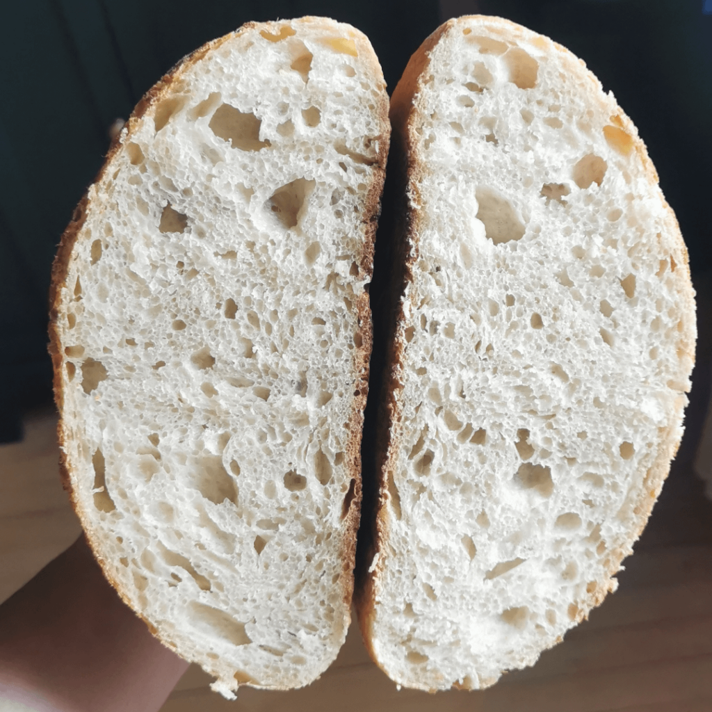 I think I finally understand bulk fermentation time I think I finally understand bulk fermentation time