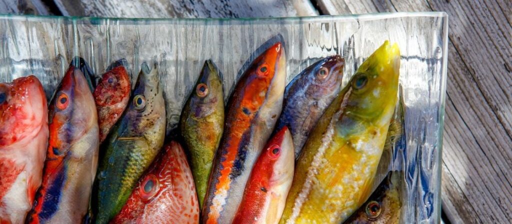 seafood, the staple of Provençal cuisine seafood, the staple of Provençal cuisine