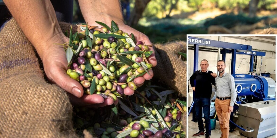 100-year-old olive co-op in France gets new mill for next generation 100-year-old olive co-op in France gets new mill for next generation