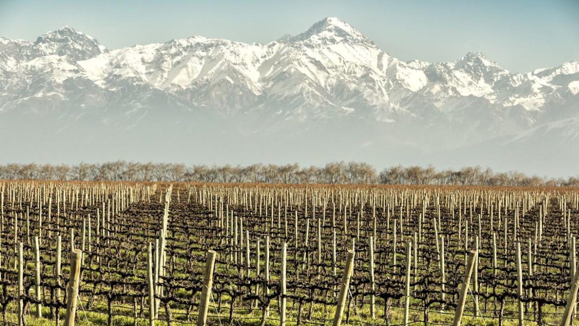 An Insider’s Guide to Luxury and Adventure in Argentina’s Top Winemaking Region Yahoo lifestyle home