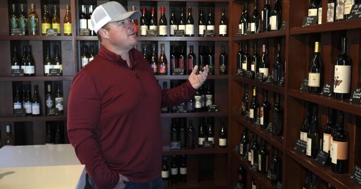 California's wine industry leery of tariffs, but some growers hope they help | Ap
