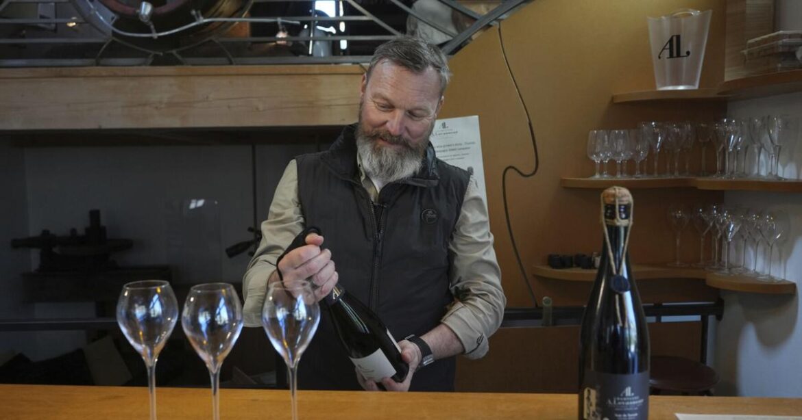 'We hope it's just blah blah': European wine producers brace for Trump tariffs | Region