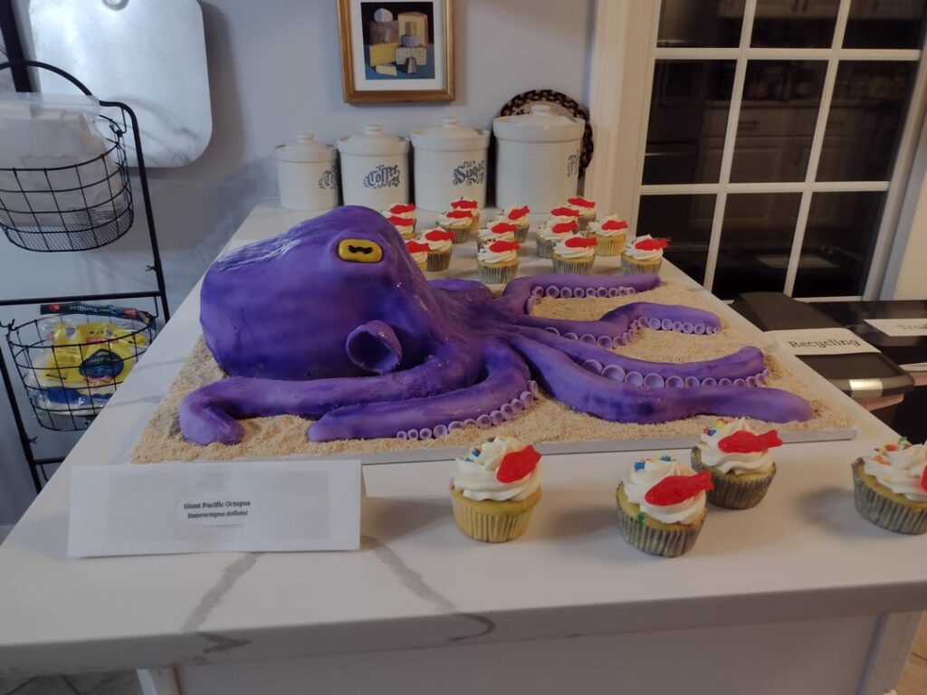 A birthday octopus I made last year!